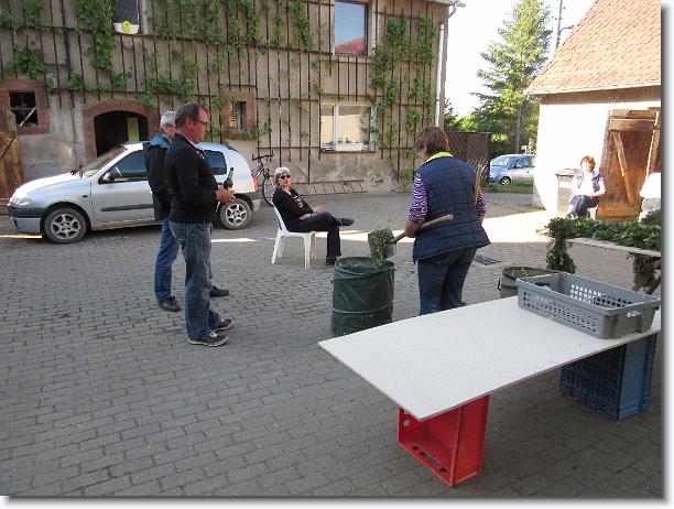Nächstes Bild